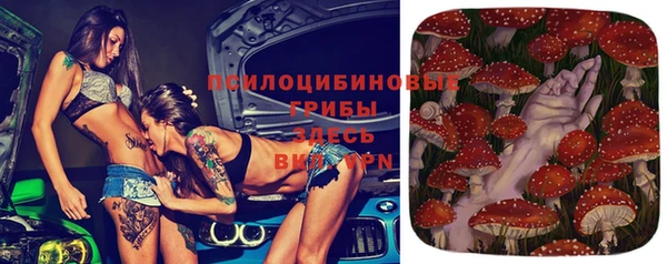твердый Зерноград