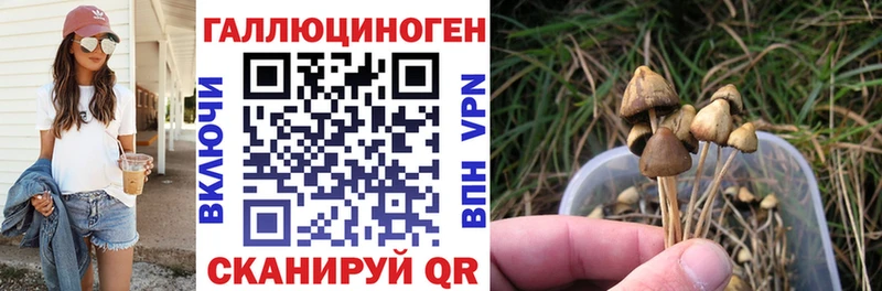 нарко площадка наркотические препараты  Стерлитамак  Галлюциногенные грибы мицелий 